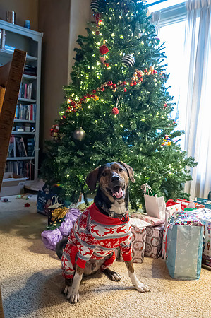 Christmas2024075