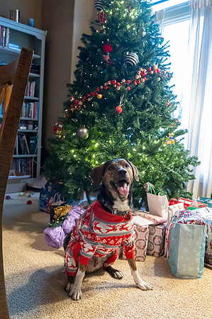 Christmas2024077