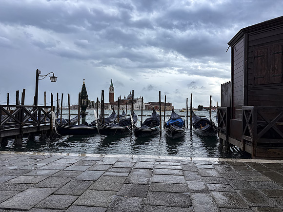venicemarano29