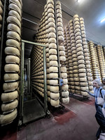 parma14