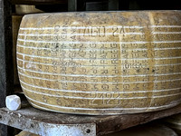 parma16