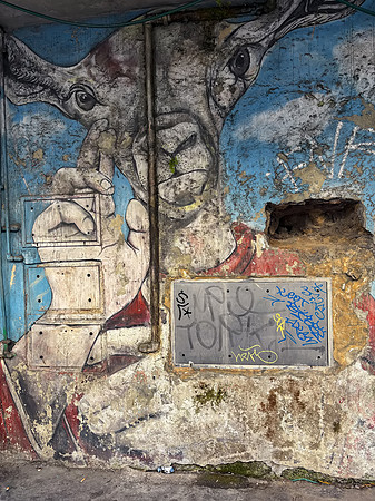 rome11