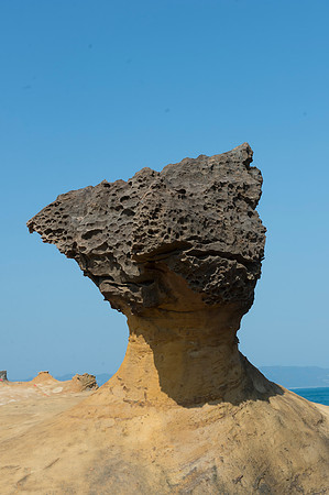 qha9