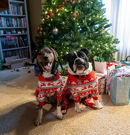 Christmas2024080