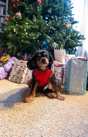 Christmas2024073