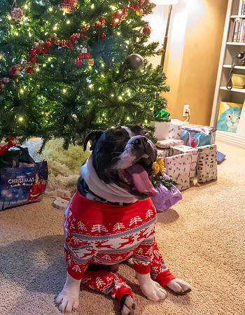 Christmas2024070