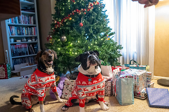Christmas2024078