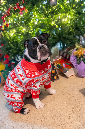 Christmas2024063