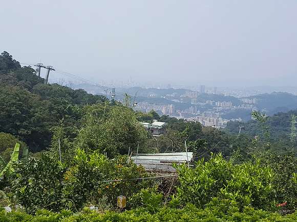 msa8
