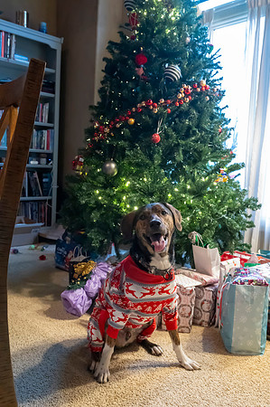 Christmas2024076