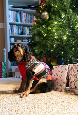 Christmas2024071