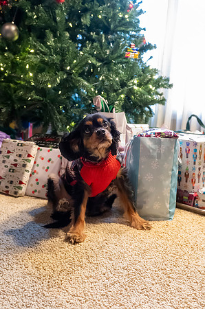 Christmas2024072