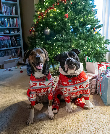 Christmas2024079
