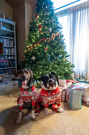 Christmas2024081