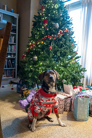 Christmas2024074